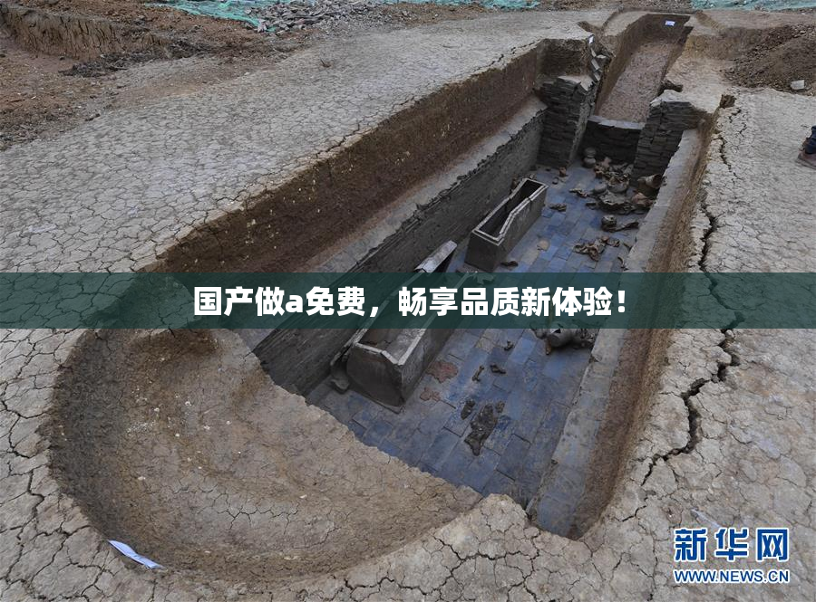 国产做a免费，畅享品质新体验！