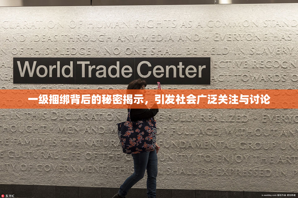 一级捆绑背后的秘密揭示，引发社会广泛关注与讨论