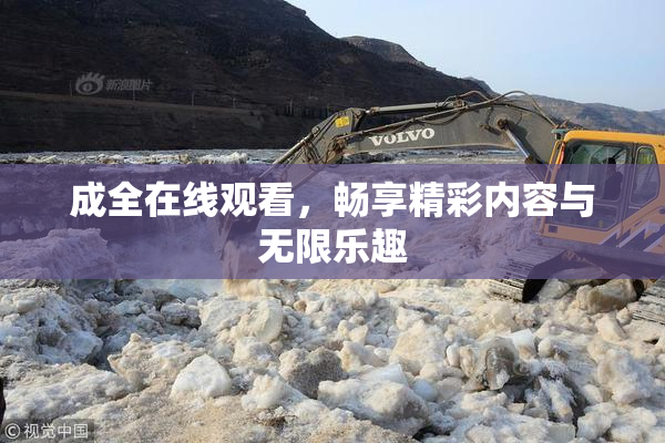 成全在线观看，畅享精彩内容与无限乐趣