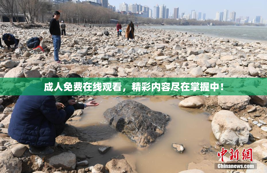 成人免费在线观看，精彩内容尽在掌握中！