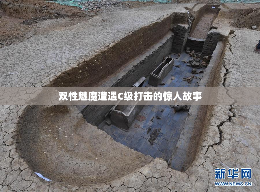 双性魅魔遭遇C级打击的惊人故事