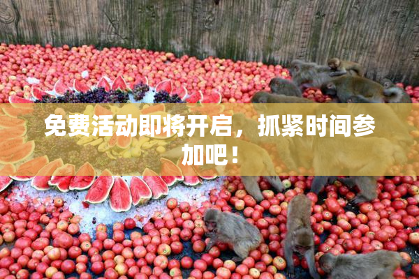 免费活动即将开启，抓紧时间参加吧！