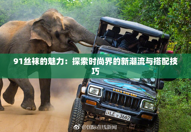 91丝袜的魅力：探索时尚界的新潮流与搭配技巧