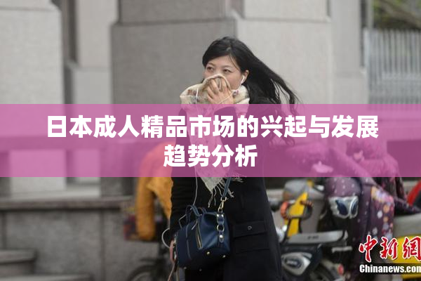日本成人精品市场的兴起与发展趋势分析