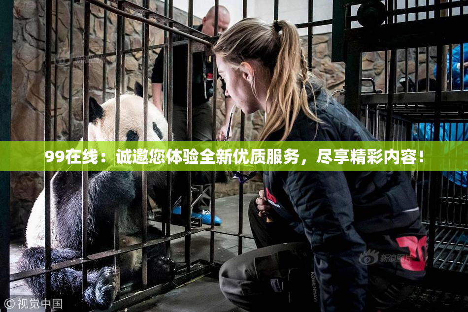 99在线：诚邀您体验全新优质服务，尽享精彩内容！