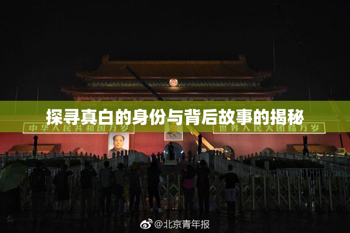 探寻真白的身份与背后故事的揭秘