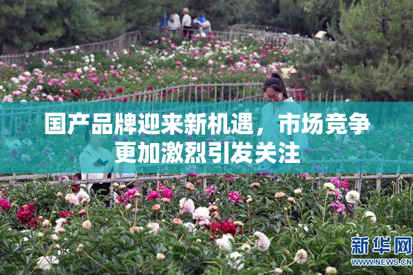 国产品牌迎来新机遇，市场竞争更加激烈引发关注