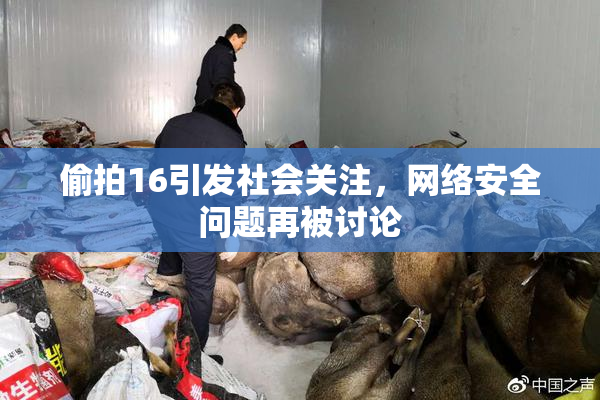 偷拍16引发社会关注，网络安全问题再被讨论
