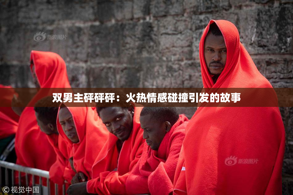 双男主砰砰砰：火热情感碰撞引发的故事