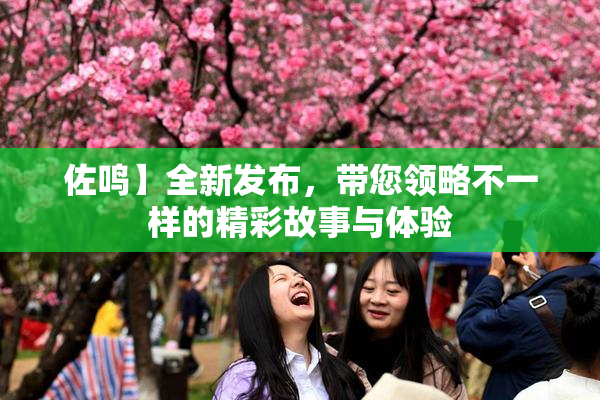 佐鸣】全新发布，带您领略不一样的精彩故事与体验
