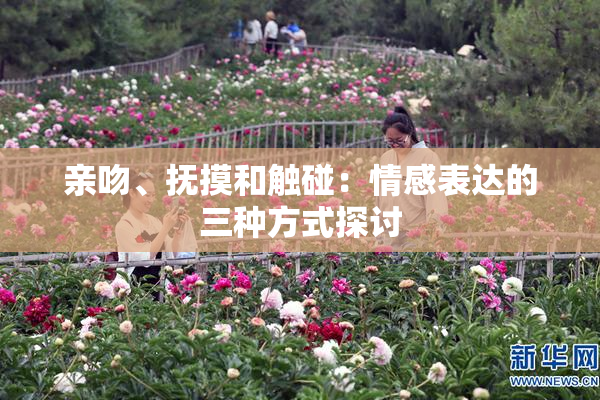 亲吻、抚摸和触碰：情感表达的三种方式探讨