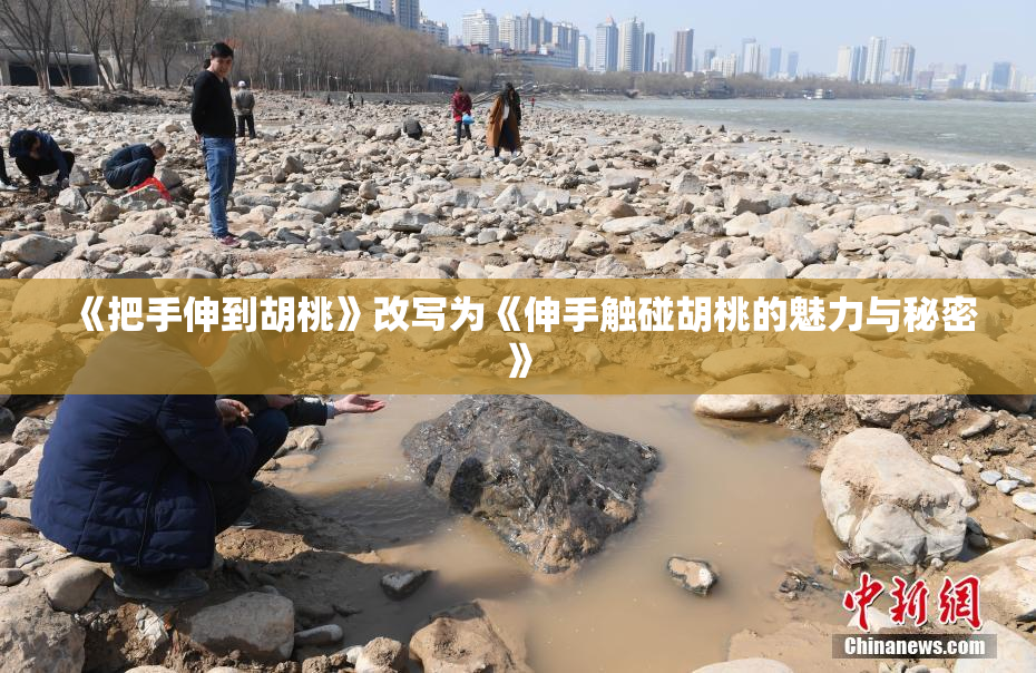 《把手伸到胡桃》改写为《伸手触碰胡桃的魅力与秘密》