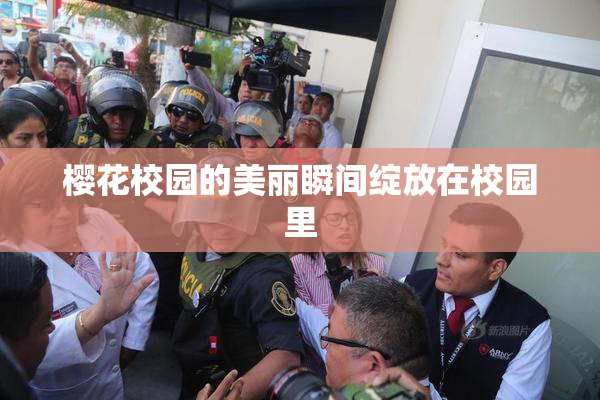 樱花校园的美丽瞬间绽放在校园里