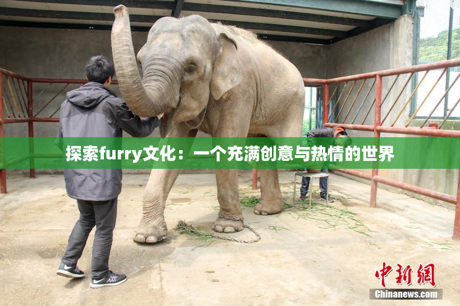 探索furry文化：一个充满创意与热情的世界