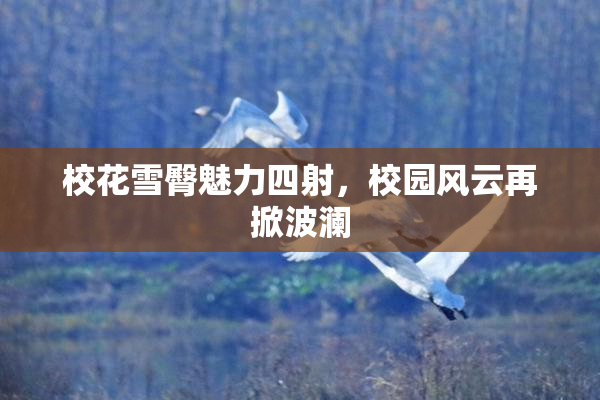 校花雪臀魅力四射，校园风云再掀波澜