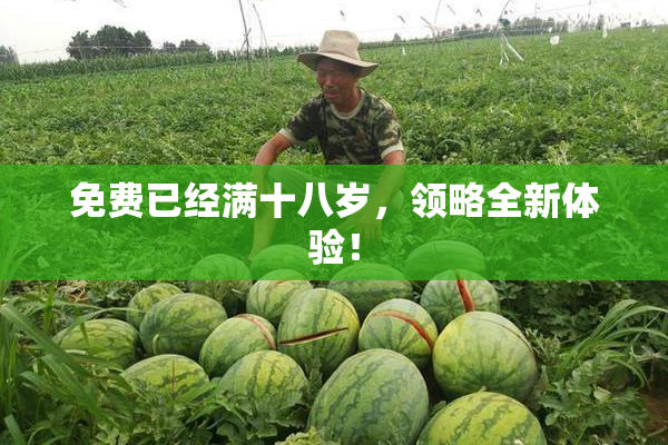 免费已经满十八岁，领略全新体验！