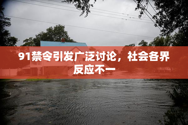 91禁令引发广泛讨论，社会各界反应不一