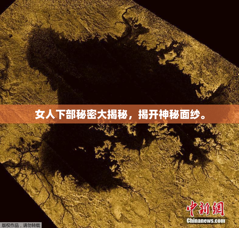 女人下部秘密大揭秘，揭开神秘面纱。