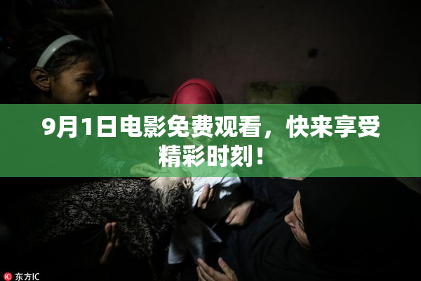 9月1日电影免费观看，快来享受精彩时刻！