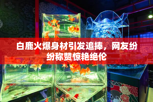 白鹿火爆身材引发追捧，网友纷纷称赞惊艳绝伦
