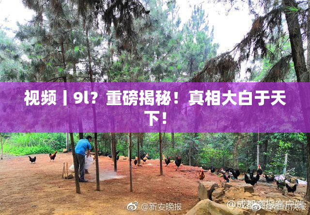 视频丨9l？重磅揭秘！真相大白于天下！