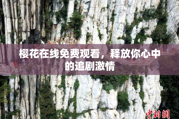 樱花在线免费观看，释放你心中的追剧激情