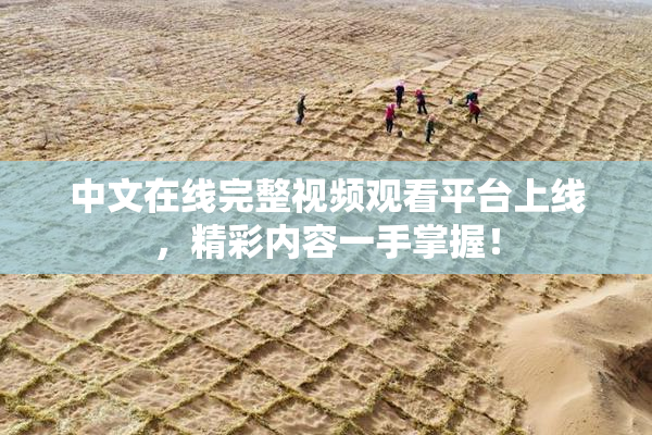 中文在线完整视频观看平台上线，精彩内容一手掌握！