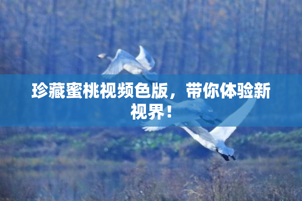 珍藏蜜桃视频色版，带你体验新视界！