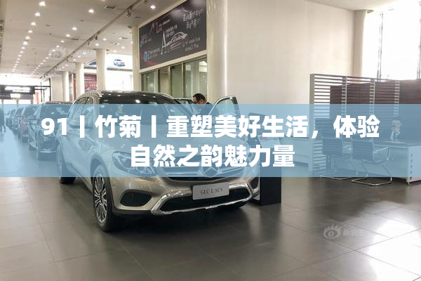 91丨竹菊丨重塑美好生活，体验自然之韵魅力量
