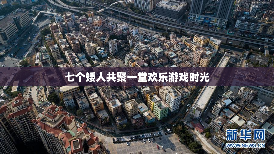 七个矮人共聚一堂欢乐游戏时光