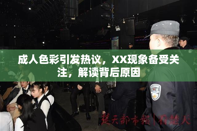 成人色彩引发热议，XX现象备受关注，解读背后原因