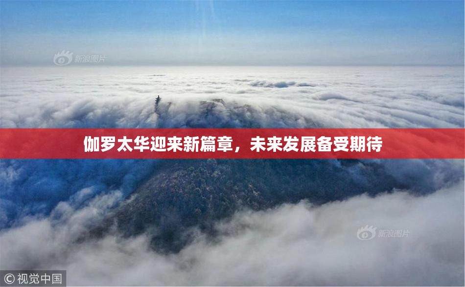 伽罗太华迎来新篇章，未来发展备受期待