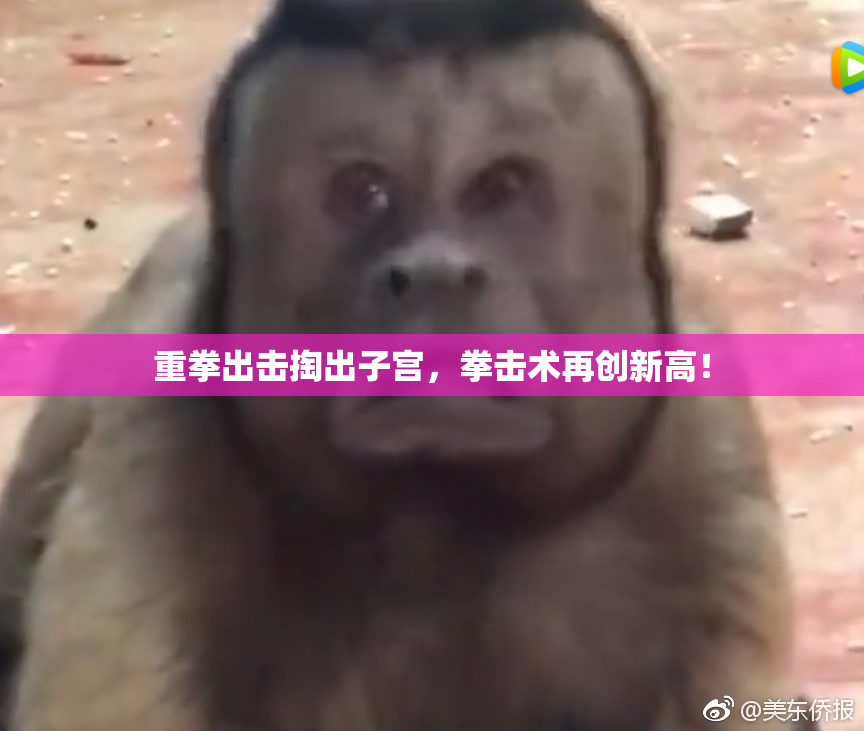 重拳出击掏出子宫，拳击术再创新高！