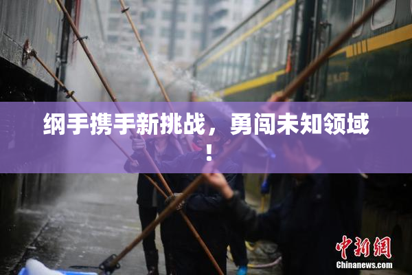 纲手携手新挑战，勇闯未知领域！