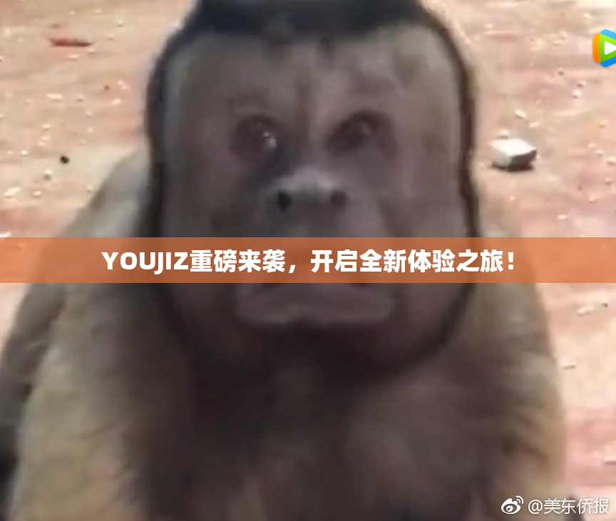 YOUJIZ重磅来袭，开启全新体验之旅！