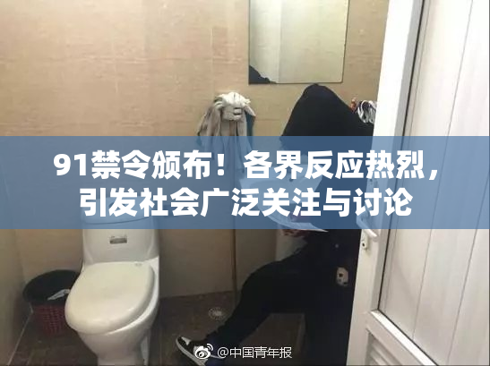 91禁令颁布！各界反应热烈，引发社会广泛关注与讨论