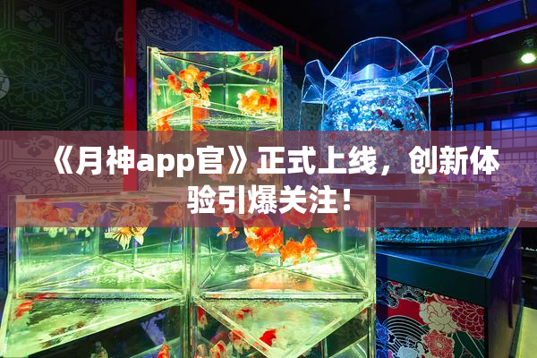 《月神app官》正式上线，创新体验引爆关注！