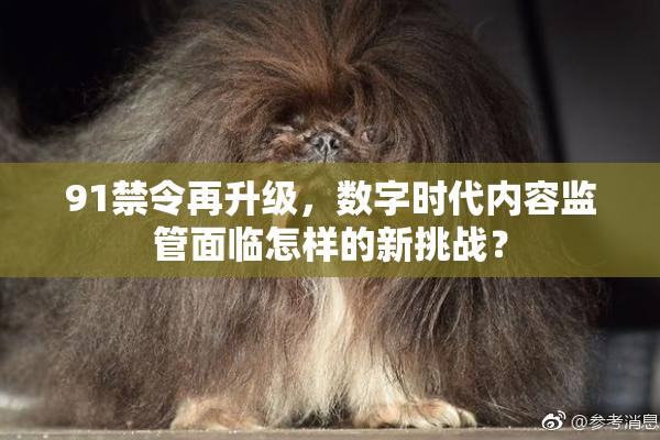 91禁令再升级，数字时代内容监管面临怎样的新挑战？