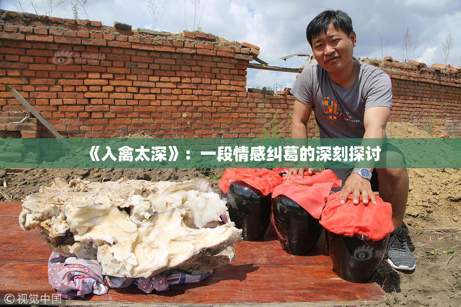 《入禽太深》：一段情感纠葛的深刻探讨