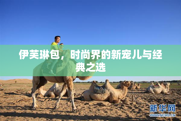 伊芙琳包，时尚界的新宠儿与经典之选