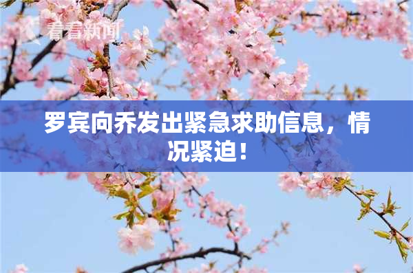 罗宾向乔发出紧急求助信息，情况紧迫！
