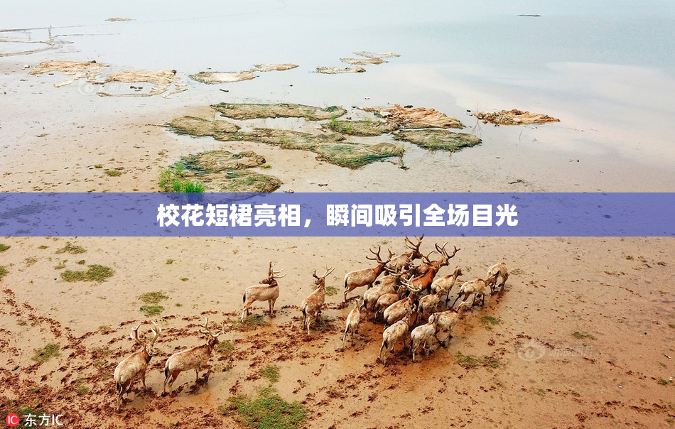 校花短裙亮相，瞬间吸引全场目光