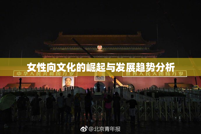 女性向文化的崛起与发展趋势分析
