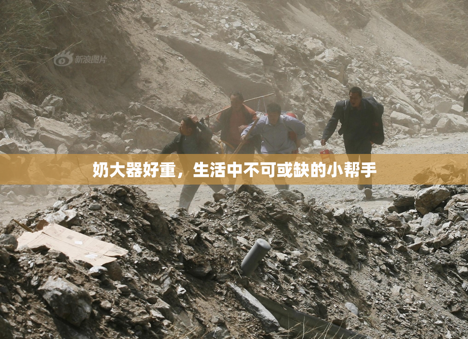 奶大器好重，生活中不可或缺的小帮手