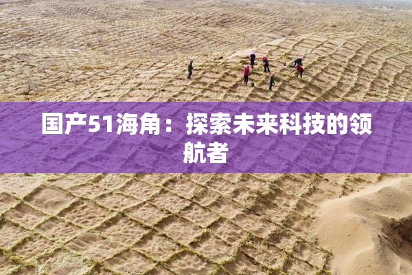 国产51海角：探索未来科技的领航者