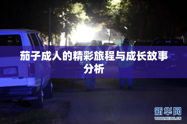茄子成人的精彩旅程与成长故事分析