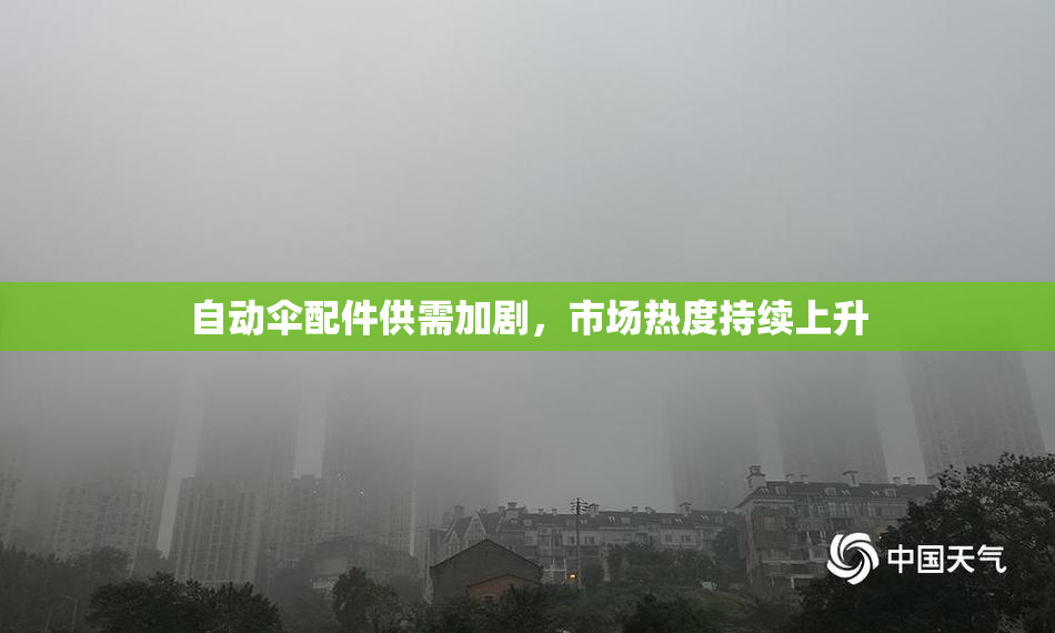 自动伞配件供需加剧，市场热度持续上升