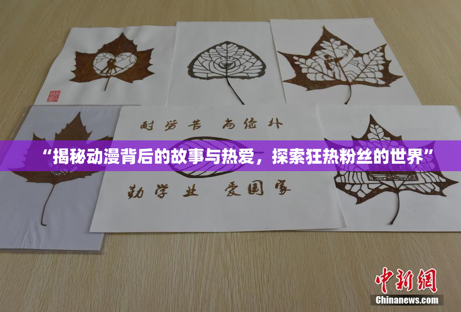 “揭秘动漫背后的故事与热爱，探索狂热粉丝的世界”