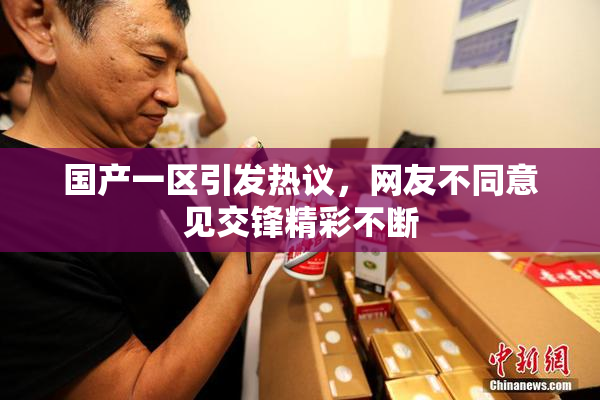 国产一区引发热议，网友不同意见交锋精彩不断