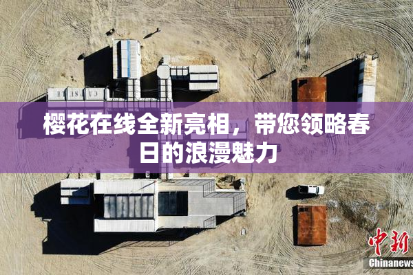 樱花在线全新亮相，带您领略春日的浪漫魅力
